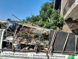 Best Construction Debris Removal  in Clayton, NJ